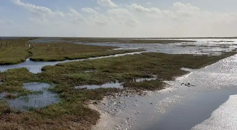Holiday home in Blåvand