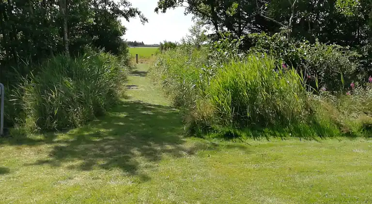 Sommerhus i Bork Havn
