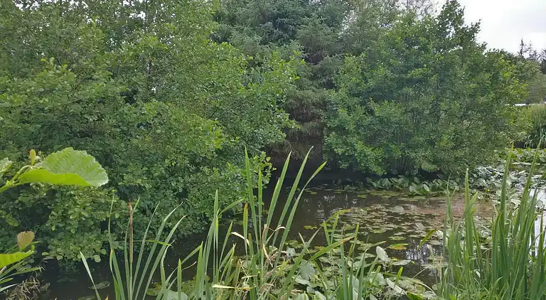 Casa vacanze in Houstrup