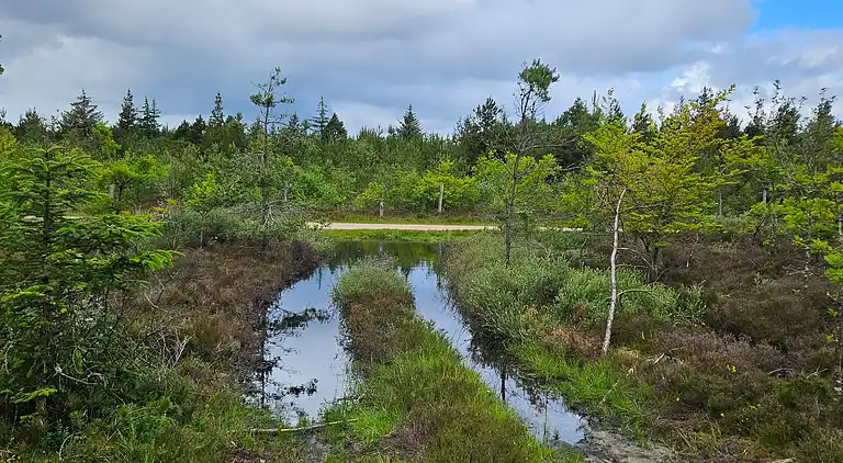 Casa vacanze in Houstrup