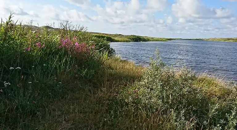 Casa vacanze in Houstrup