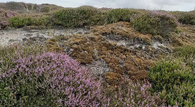 Casa vacanze in Houstrup