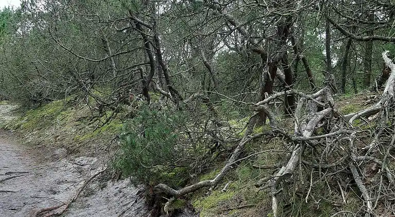 Casa vacanze in Houstrup