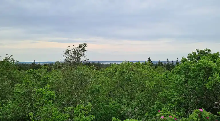 Casa vacanze in Houstrup