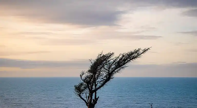 Holiday home in Lønstrup