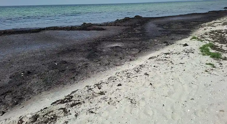 Holiday home in Rødby