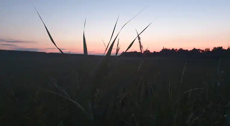 Holiday home in Rødby