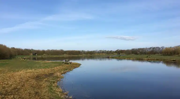 Sommerhus ved Skaven Strand