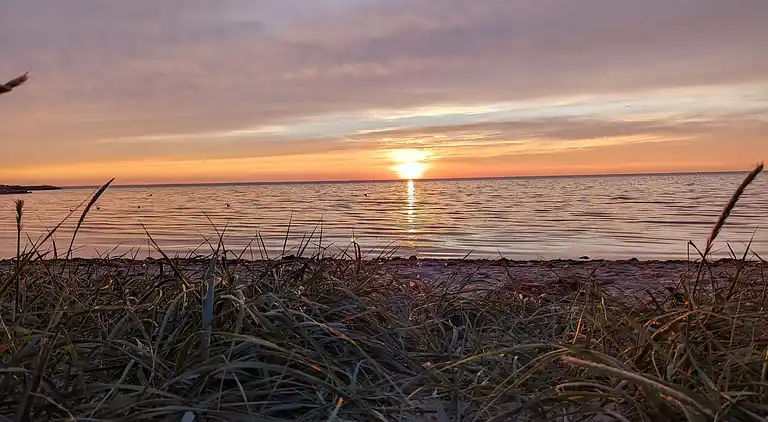 Sommerhus ved Skaven Strand