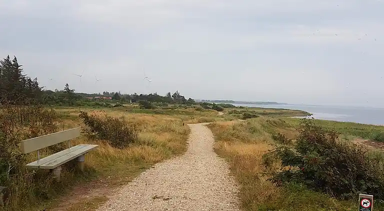 Sommerhus ved Skaven Strand