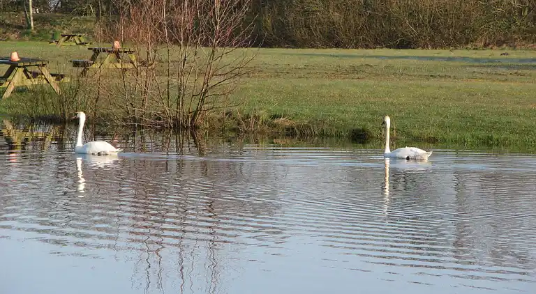 Sommerhus ved Skaven Strand