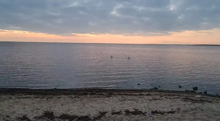 Sommerhus ved Skaven Strand