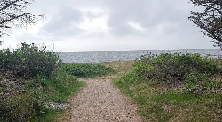 Sommerhus ved Skaven Strand