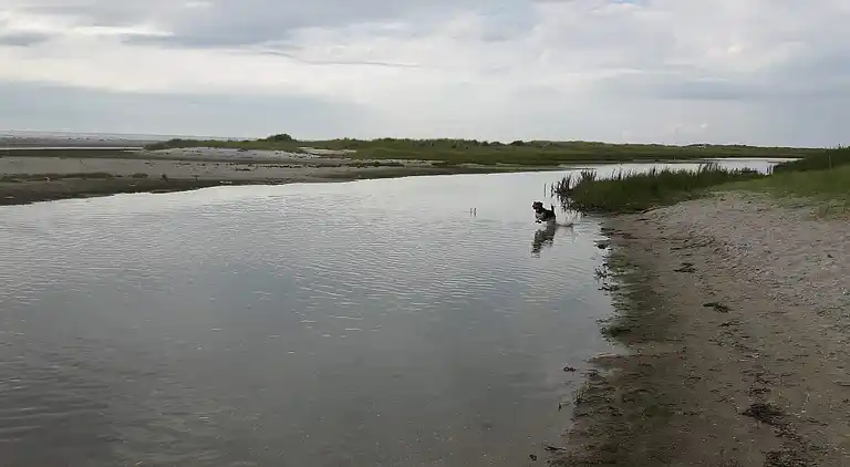 Sommerhus i Storvorde