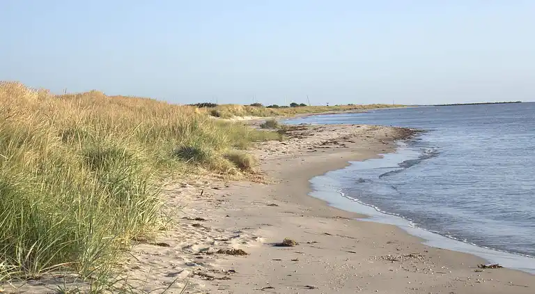Sommerhus i Storvorde