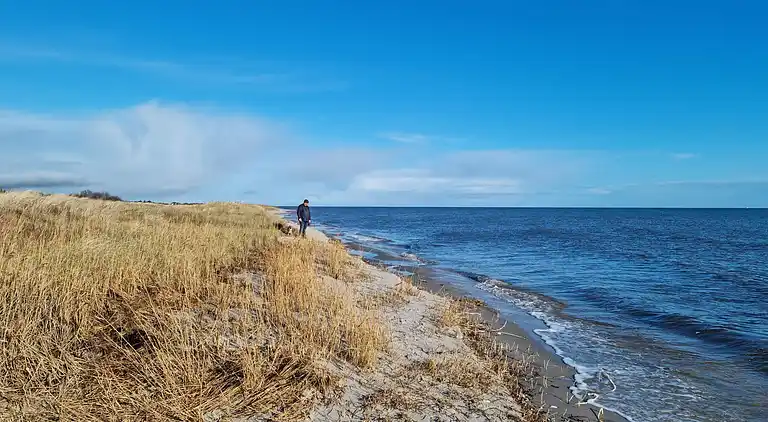 Sommerhus i Storvorde