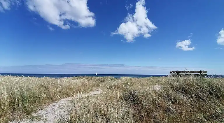 Sommerhus i Storvorde