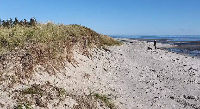 Sommerhus i Storvorde