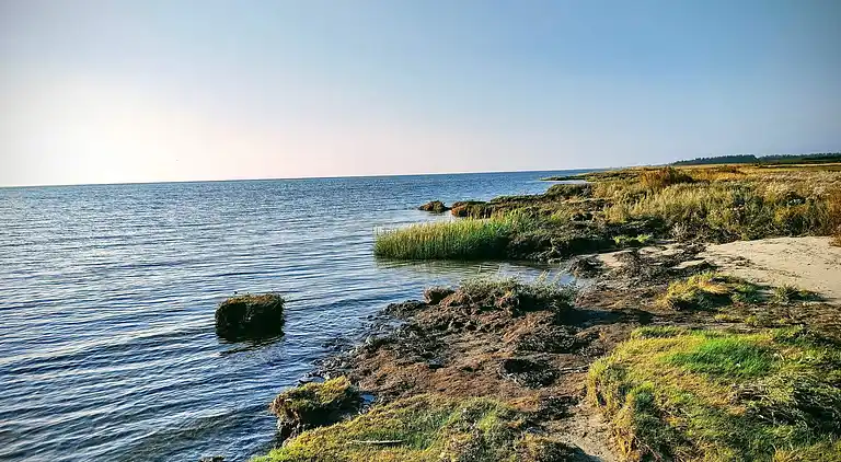 Sommerhus i Storvorde