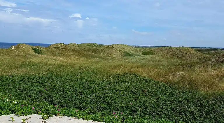 Sommerhus ved Klegod Strand