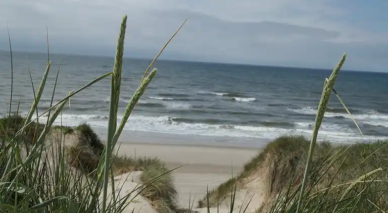 Sommerhus ved Klegod Strand