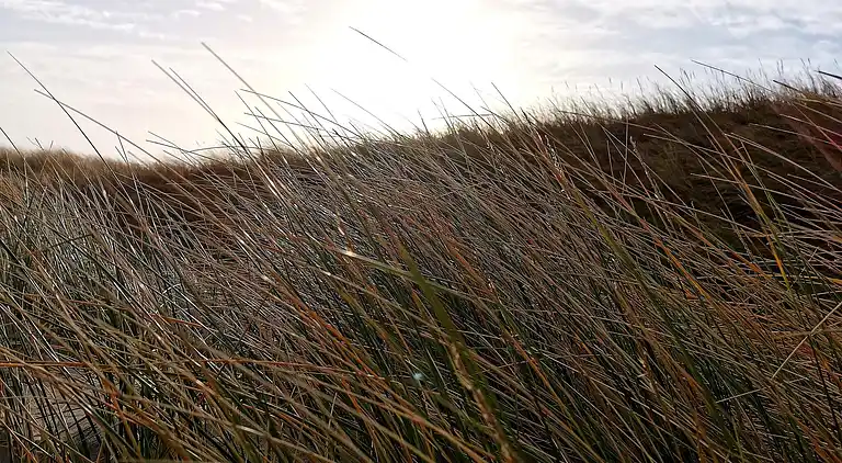 Sommerhus ved Klegod Strand