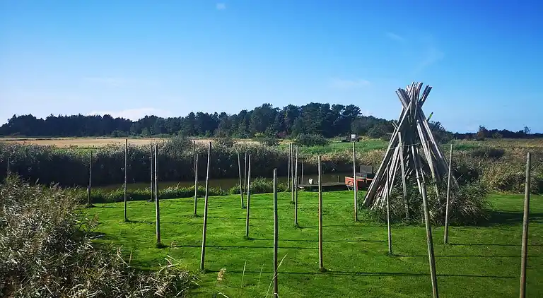 Sommerhus i Bork Havn