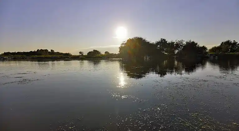 Sommerhus i Bork Havn