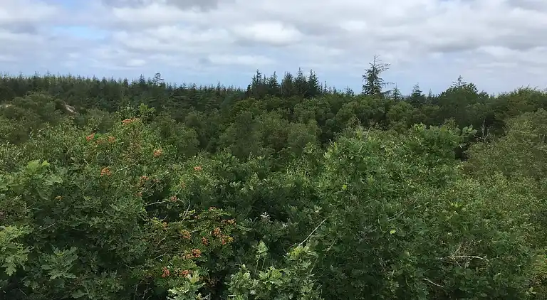 Vakantiehuis in Jegum