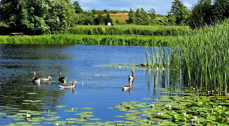 Holiday home in Humble