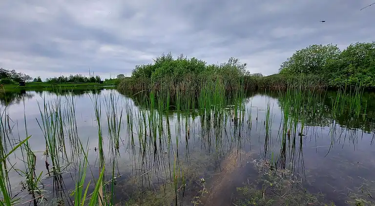 Holiday home in Humble