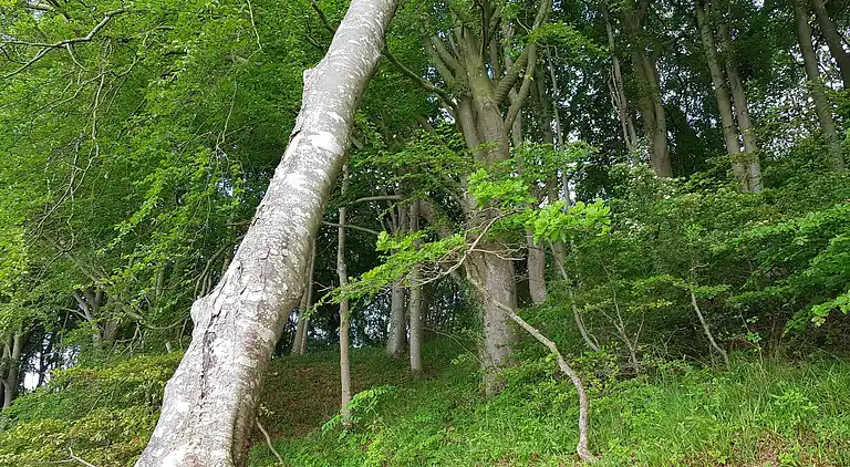 Casa vacanze in Andkær Vig