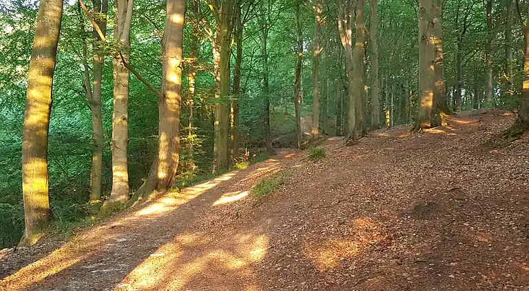 Casa vacanze in Andkær Vig