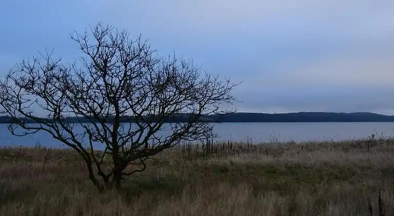 Casa vacanze in Andkær Vig