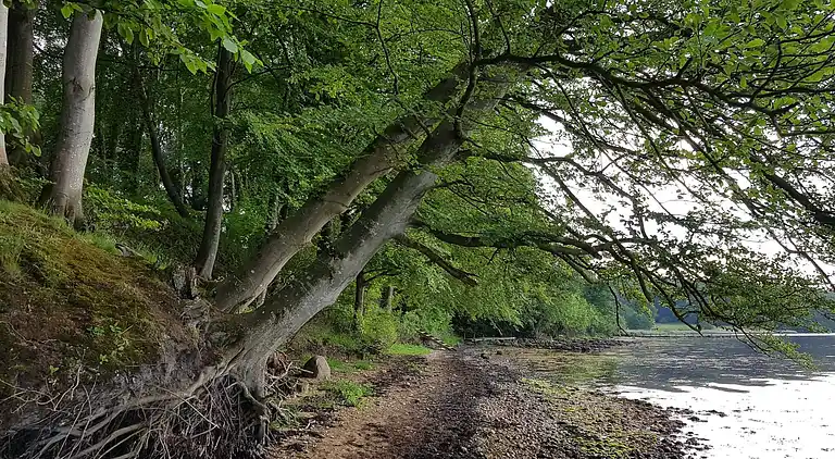 Casa vacanze in Andkær Vig