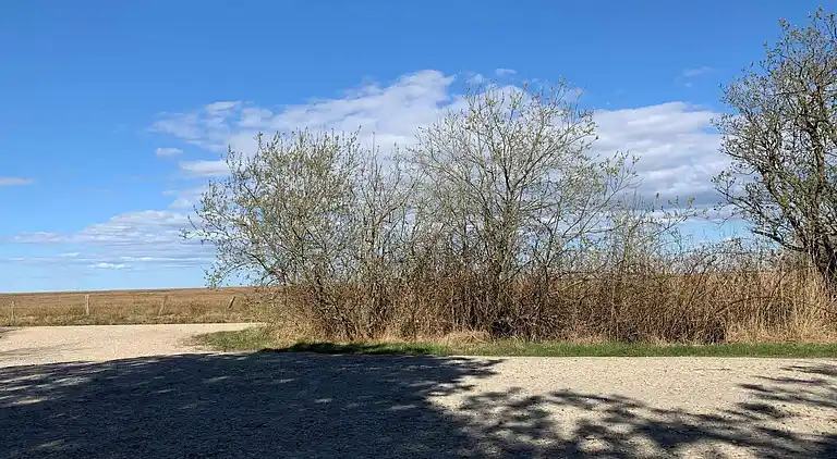 Feriebolig i Bork Havn