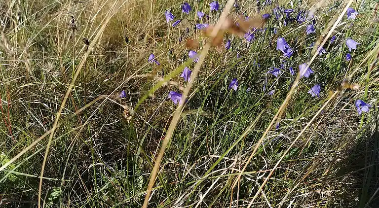 Maison de vacances au Skjern