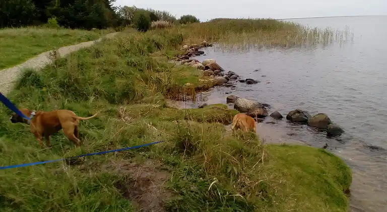 Maison de vacances en Ulfborg