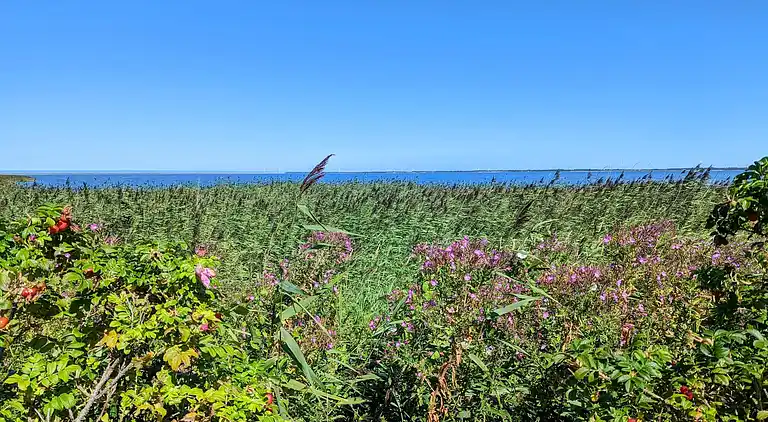 Maison de vacances en Ulfborg