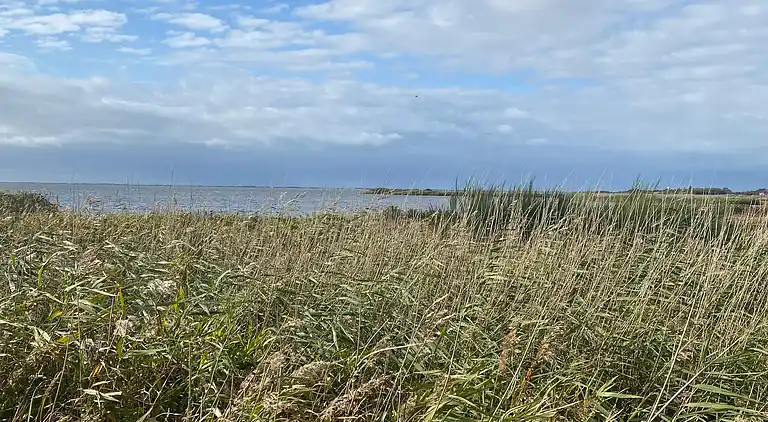 Maison de vacances au Skjern