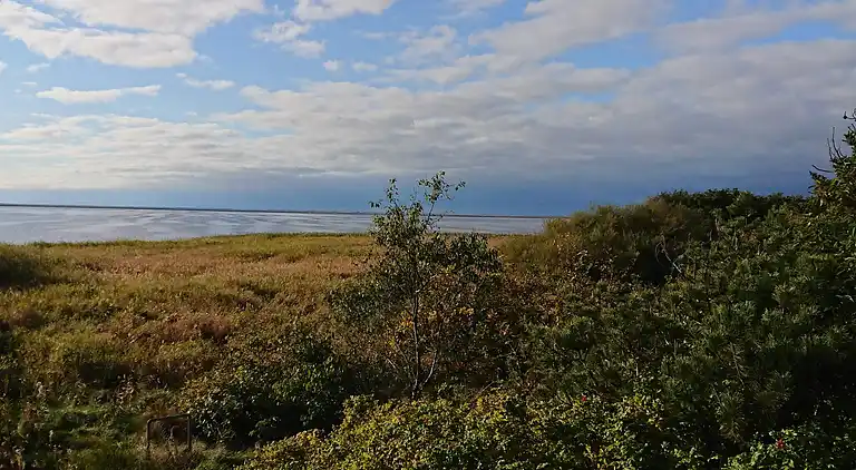 Maison de vacances au Skjern