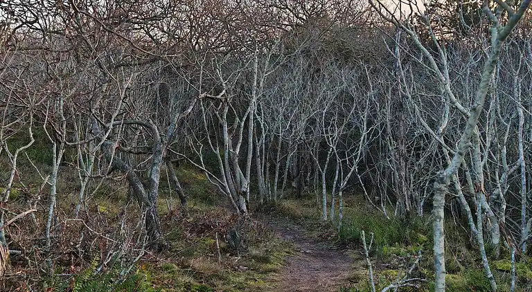 Maison de vacances au Skjern