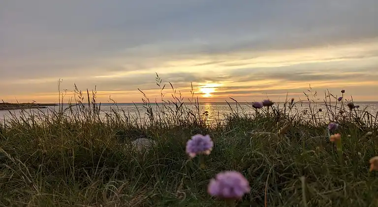 Holiday home in Hemmet