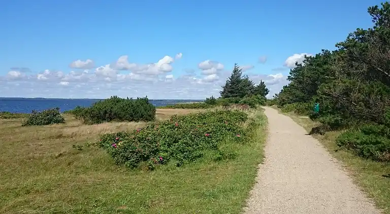 Holiday home in Hemmet
