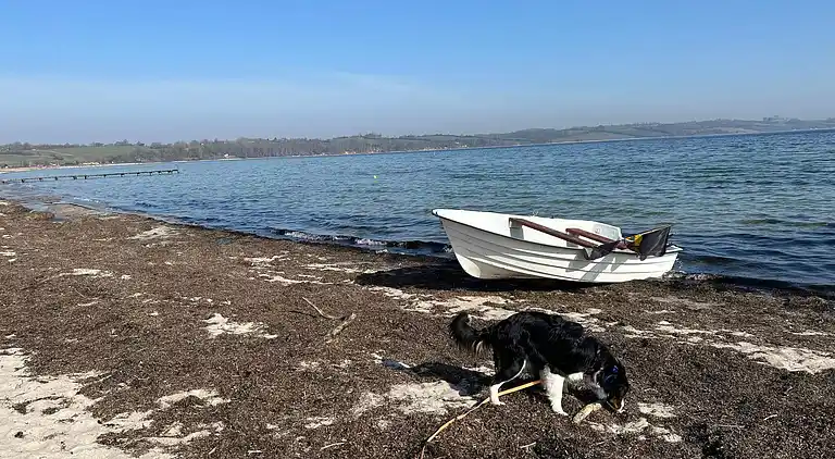 Sommerhus i Egernsund