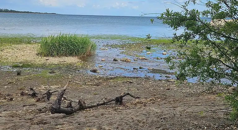 Semesterbostad i Åbenrå
