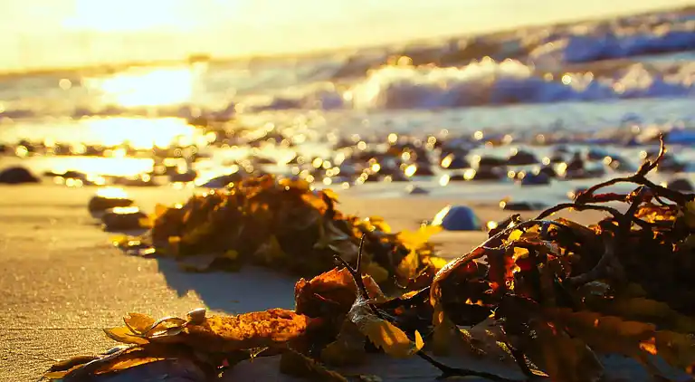 Holiday home in Skovmose