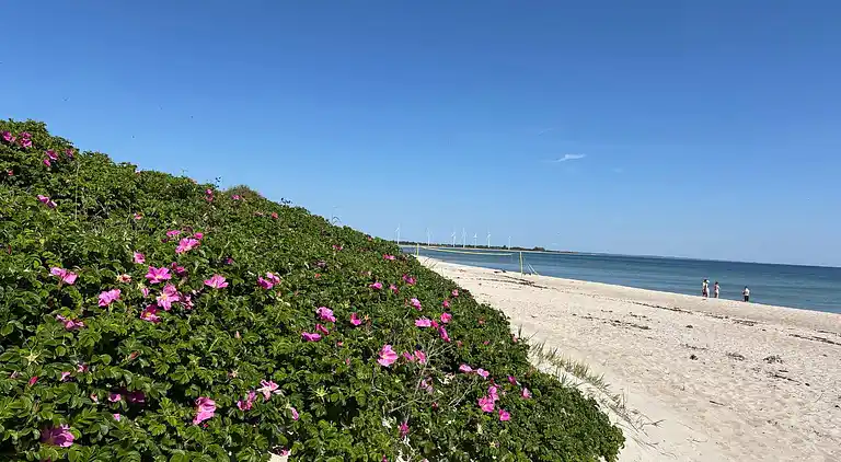 Holiday home in Skovmose