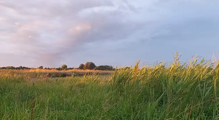 Holiday home in Skovmose