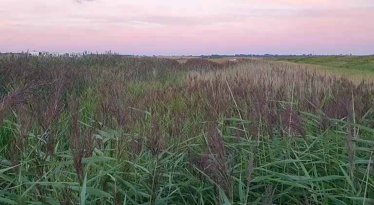 Holiday home in Kelstrup Strand